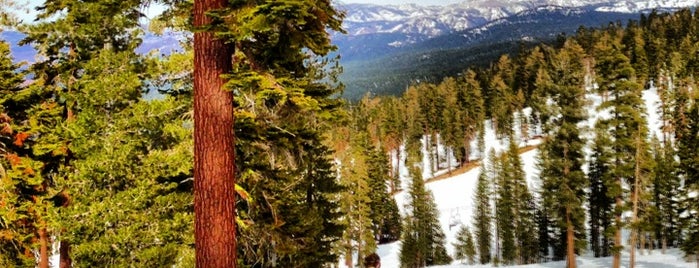 Northstar California Resort is one of Our favorite ski resorts.