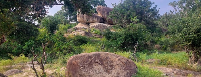 Yala National Park is one of Sri Lanka.