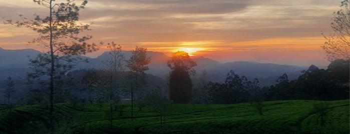 Nanu-Oya Railway Station is one of Railway Stations In Sri Lanka.