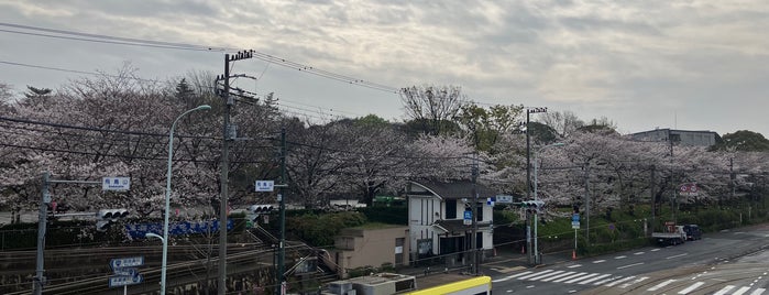 飛鳥山公園歩道橋 is one of Northwestern area of Tokyo.