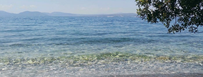 Παραλία Δάφνης is one of Tempat yang Disukai Vana.