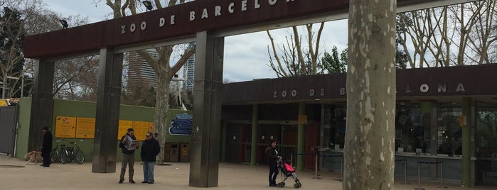 Zoo de Barcelona is one of Barcelona Tourism.
