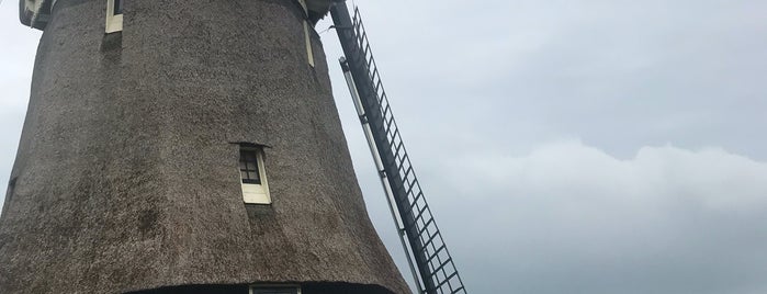 De Kathammer of De Katwoudermolen is one of I love Windmills.
