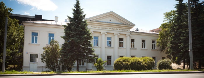 Vytauto Kasiulio dailės muziejus is one of Vilnius Museums & Galleries.