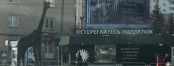 MegaFlowers is one of Есть выход на Боссов.