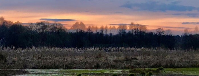 Lieux qui ont plu à Denis