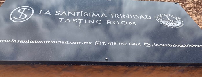 Olio Fino Tasting Room (Degustación) is one of México.