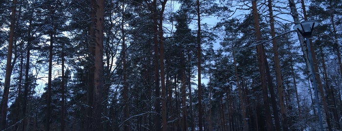 Ossian Donnerin puisto is one of Vaki paikat Hyvinkää.