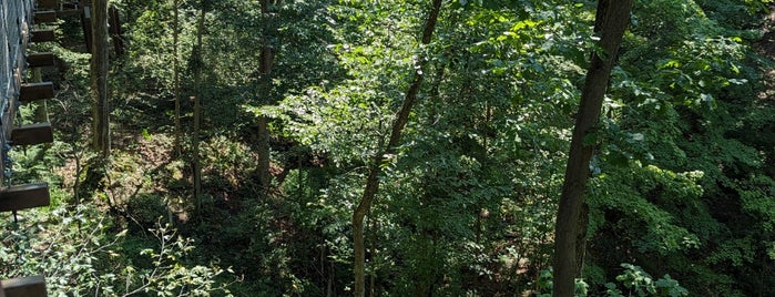 Holden Arboretum Canopy Walk is one of SU - Needs Editing ✍️.