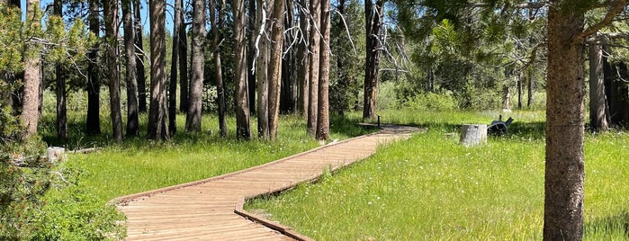 Emigrant Trail is one of California.