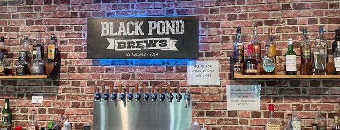 Black Pond Brews is one of Breweries I've been to.