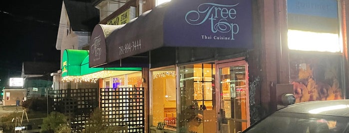 Tree Top Thai Cuisine is one of Waltham's finest.