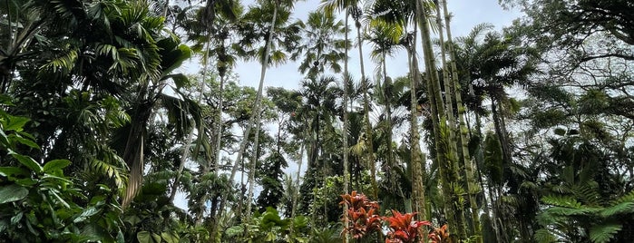 Hawaii Tropical Botanical Garden is one of Hawai'i Big Island.