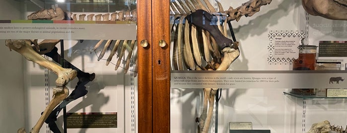 Grant Museum of Zoology is one of Evermade.com.