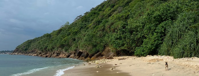 Roomassala Beach is one of Sri Lanca.