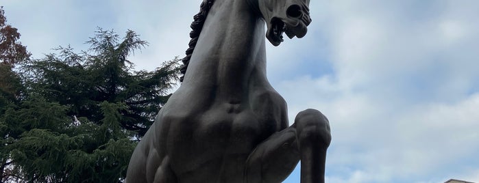 Cavallo di Leonardo Da Vinci is one of Milan.