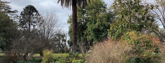 Albury Botanical Gardens is one of Locais curtidos por Jeff.