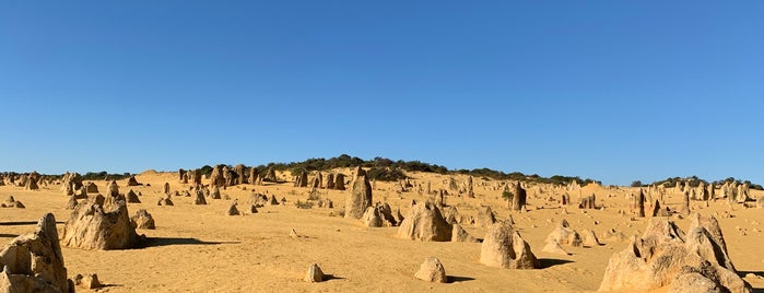 Nambung National Park is one of Andreasさんのお気に入りスポット.