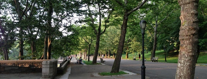 Riverside Park is one of Best Parks For Dogs In New York.