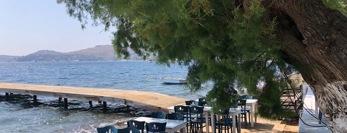 Can Oba Restorant is one of Bodrum.