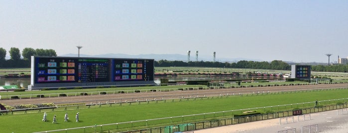 Kyoto Racecourse is one of 日本中央競馬会.
