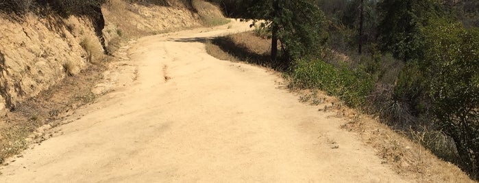 Griffith Park Trail is one of LA Road Trip.