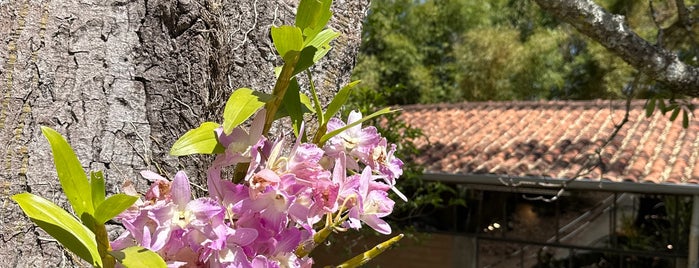 Atelier Suenaga & Jardineiro is one of Cunha-SP.