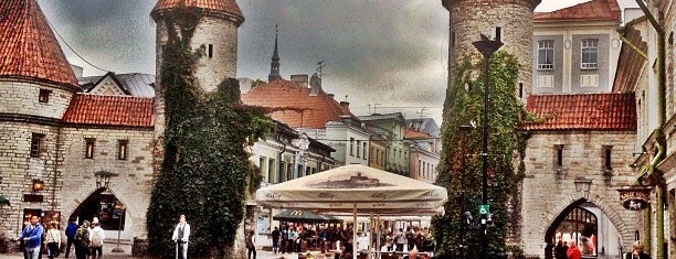 Cтарый город is one of Tallin.
