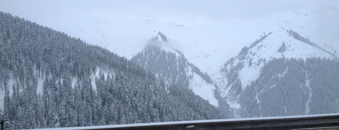 Griesbachhütte is one of Posti che sono piaciuti a Peter.