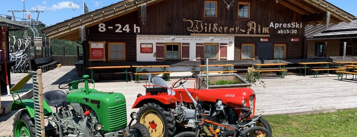 Wilderer Alm is one of ski areas.