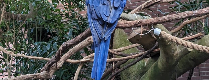 National Aviary is one of Best Spots in Pittsburgh, PA #VisitUS.