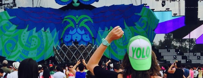 Electronic Daisy Carnival is one of Lugares favoritos de Vanessa.