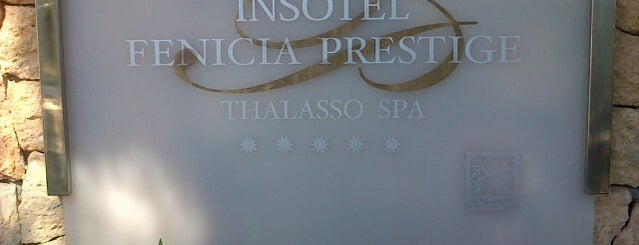 Hotel Insotel Fenicia Prestige Thalasso Spa Ibiza is one of Hotels: Balearics.