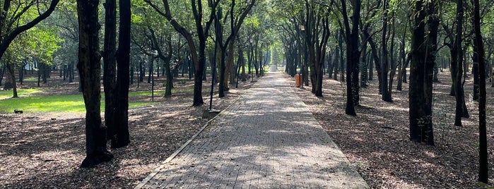 Bosque de Chapultepec is one of Lieux qui ont plu à Ro.