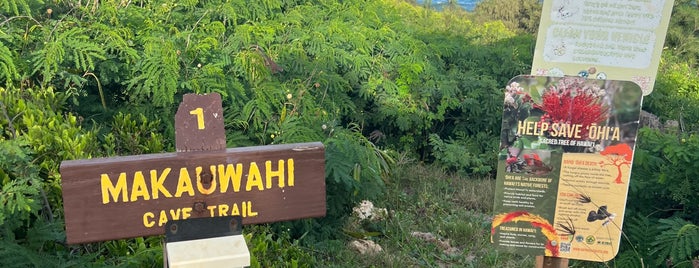makauwahi trail is one of Hawaii.