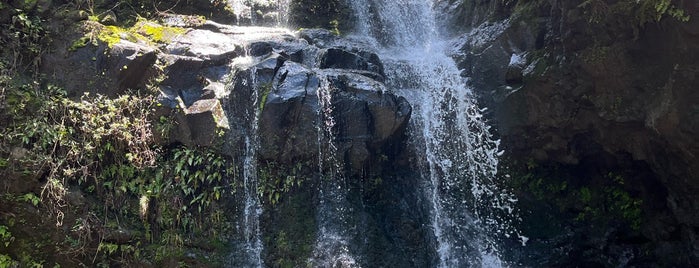 Waimano Falls is one of oahu.