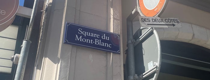 TPG Mont-blanc is one of Genève.