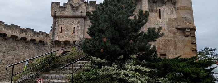 Liechtenstein Castle is one of Mödling.