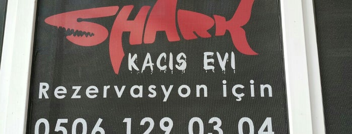 Shark Kaçış Evi is one of Posti che sono piaciuti a Doğuş.