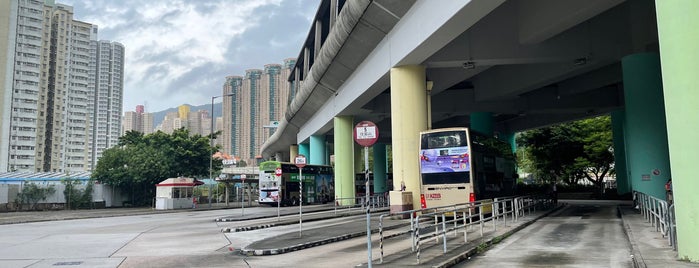 Choi Hung Bus Terminus is one of 香港 巴士 1.