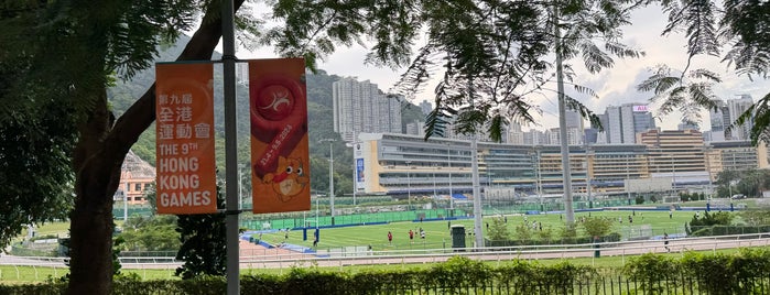 Happy Valley Recreation Ground is one of Hong Kong favorites.