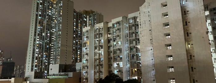 Pak Tin Estate is one of 公共屋邨.