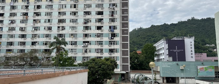 Lek Yuen Estate is one of 公共屋邨.