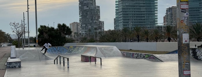 Skatepark del Forum is one of Barcelona skate spots.