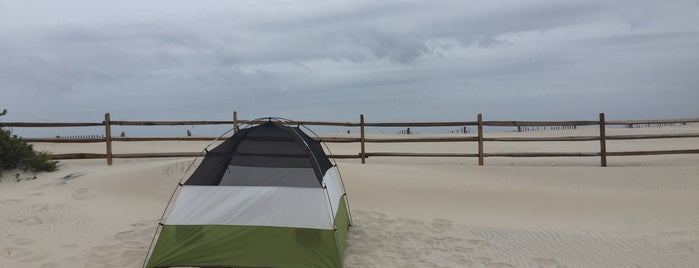 Assateague Camp Ground 77 is one of travel.