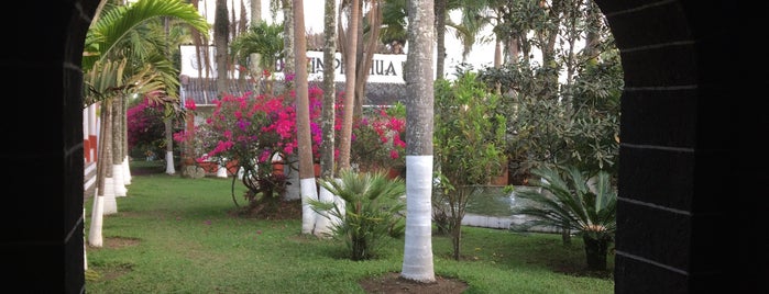 Ex Hacienda Zimpizahua - Restaurant is one of Posti che sono piaciuti a Rocio.