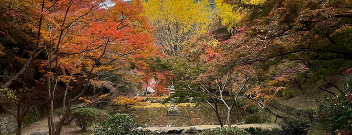 延命寺 is one of 大阪みどりの百選.