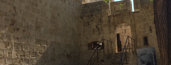 Limassol Castle is one of Posti che sono piaciuti a Шишечка.