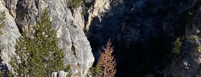 Nationalpark Schweiz is one of Locais curtidos por Andreas.