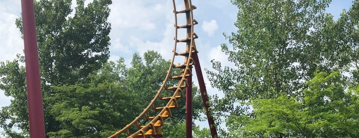 The Boomerang is one of ROLLER COASTERS.